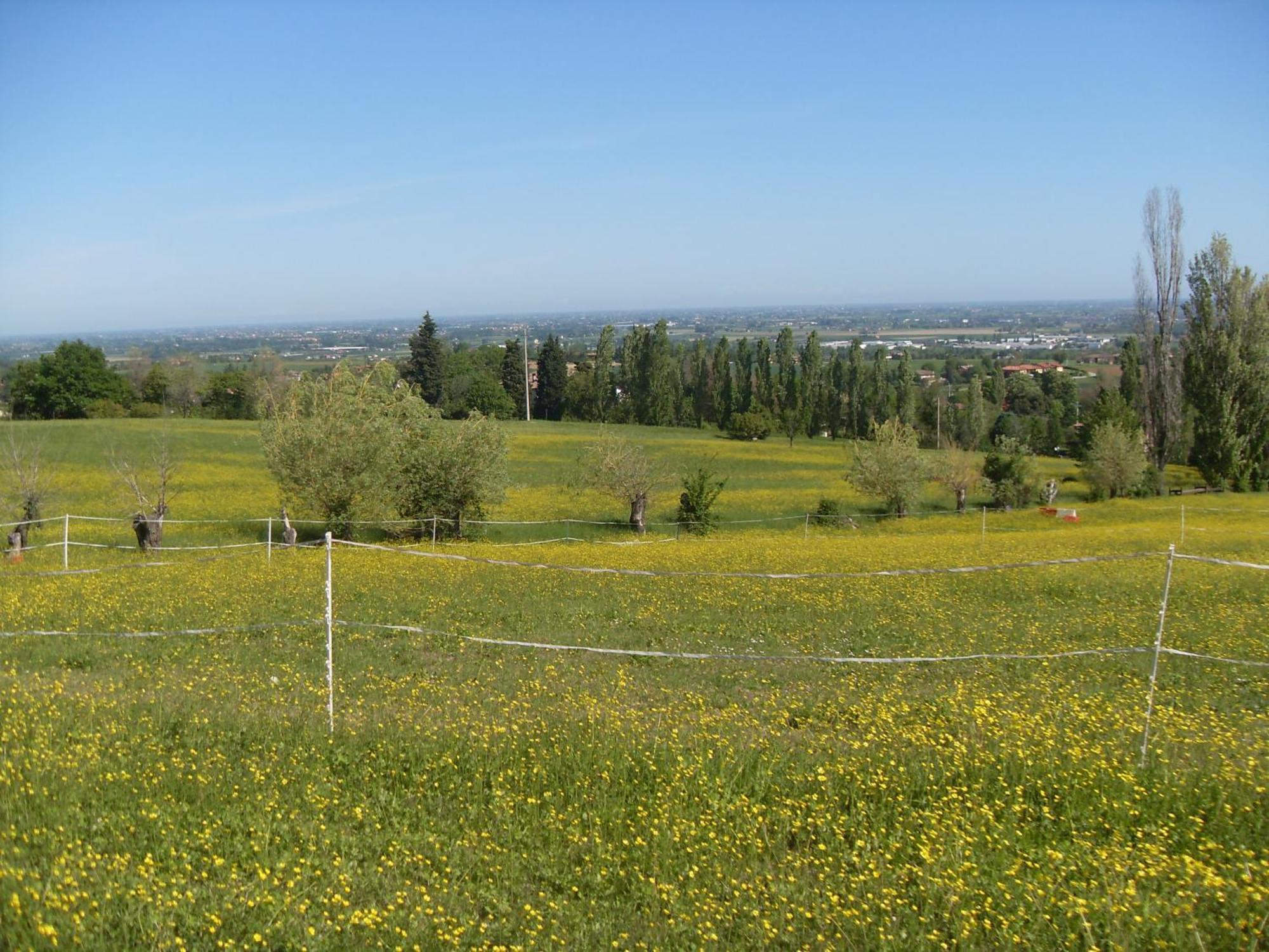Monte San Pietro Agriturismo Montevecchio Isolani מראה חיצוני תמונה