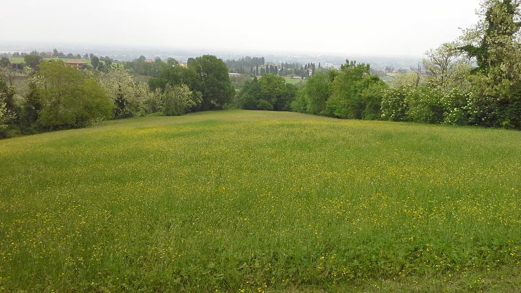 Monte San Pietro Agriturismo Montevecchio Isolani מראה חיצוני תמונה